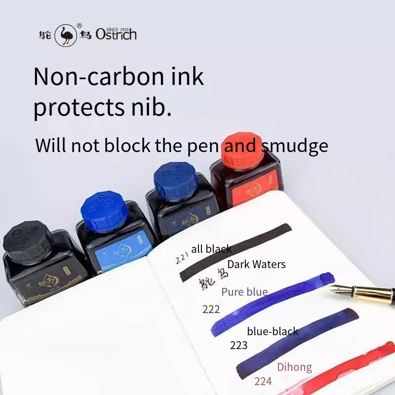 Ostrich 2-Series Fountain Pen  – Fountain Pen Bottled Ink recenzja i cena